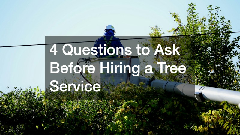 4 Questions to Ask Before Hiring a Tree Service